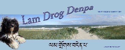 banner_lam-drog-denpa